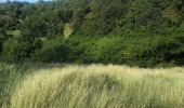 Trail Nordic walking Sainte-Anne - Modette  - Photo 2