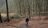Trail Walking Genappe - #211004 - Sauvagemont, Bois de Thy et Ferme d'Agnissart**** - Photo 13