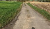 Trail Walking Blegny - Mortier promenade d’automne ensoleillé  - Photo 11