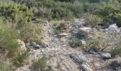 Percorso Marcia Le Rove - 2025_02_17 Le Rove sauvage  - Photo 2