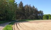 Tour Wandern Court-Saint-Étienne - Bois³ de l'Abbaye - Photo 1