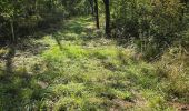 Excursión Senderismo Buno-Bonnevaux - Buno-Bonneveaux - Polissoir de Grimery - Photo 16