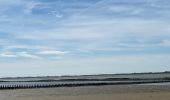 Randonnée Marche Berck - Berck - baie d’Authie - Photo 3