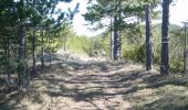 Tour Wandern Die - Ausson - Montagne de Gavet (Diois) - Photo 13