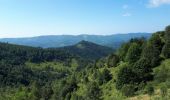 Trail Walking Bourbach-le-Haut - Col du Hundsruck Col de Rimbach - Photo 5