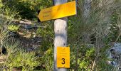 Trail Walking Castellane - Thyrs : sommet du Robion - Photo 15