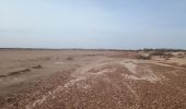 Tour Wandern M'Hamid El Ghizlane ⵎⵃⴰⵎⵉⴷ ⵍⵖⵯⵣⵍⴰⵏ امحاميد الغزلان - Parcours du matin Campement 4 - Photo 3
