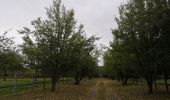 Tour Wandern Cambremer - Saint Pair du Mont- Dozulé - Photo 1