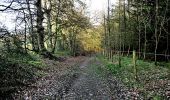 Randonnée A pied The Municipal District of Castlecomer - Freshford Loop - Photo 9