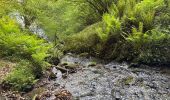 Trail Walking Urrotz - Leurtza  - Photo 2