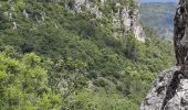 Trail Walking La Roquebrussanne - la loube la cheminée  - Photo 4