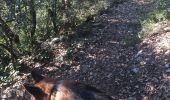 Tour Wandern Le Broc - L esteron  AM. 21/02/2019 - Photo 2
