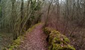 Trail Walking Couze-et-Saint-Front - Parcours 20km - Photo 4