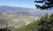 Randonnée Marche Châtel-en-Trièves - tour de la forêt domaniale de Chatel - Photo 2