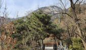 Excursión Senderismo Unknown - Randonnée de Samcheong a Sajik Park  - Photo 2