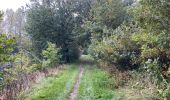 Trail Walking Antoing - Peronne 16 km - Photo 14