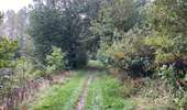 Trail Walking Antoing - Peronne 16 km - Photo 14
