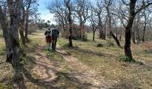 Trail Walking Venasque - venasque - col de murs - Photo 10