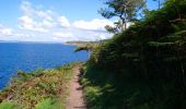 Percorso Marcia Douarnenez - Douarnenez - GR34 AR les Roches Blanches Pointe de la Jument  - 9.3km 250m 3h30 - 2019 09 01 - Photo 5
