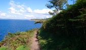 Randonnée Marche Douarnenez - Douarnenez - GR34 AR les Roches Blanches Pointe de la Jument  - 9.3km 250m 3h30 - 2019 09 01 - Photo 5