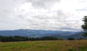 Excursión Senderismo Orbey - Tour des 3 lacs (lac noir, blanc, Forlet) Vosges - Photo 2