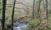 Randonnée Marche Houffalize - Statte, Valire - Photo 1