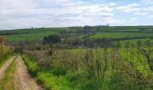 Trail Walking Beauraing - Balade à Wancennes - Beauraing - Photo 6