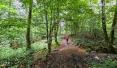 Trail Walking Florenville - Le Point de vue la Bohanan - Chassepierre - Photo 12