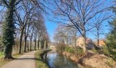 Trail Walking Molsheim - Le long de la Bruche et de son canal - Photo 7