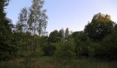 Percorso A piedi Lübben (Spreewald) - Rundwanderweg Fischteiche - Photo 9