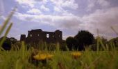 Tocht Te voet The Municipal District of Greystones - Delgany Heritage Trail - Photo 4