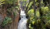 Trail Walking Cauterets - Ileou-Pont d’Espagne - Photo 1