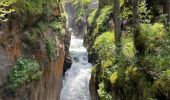 Percorso Marcia Cauterets - Ileou-Pont d’Espagne - Photo 1