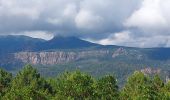 Excursión Senderismo Sari-Solenzara - vers le monastère retour monte Santu - Photo 4