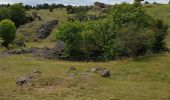 Tocht Stappen Meyrueis - Meyruies - Gorges de la Jonte - Grotte de Dagilan - Photo 9