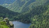 Trail Walking Xonrupt-Longemer - 2024 RA Vosges J4 autour du Kastelberg - Photo 5