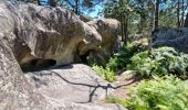 Tocht Stappen Fontainebleau - Fontainebleau sentier Denecourt 7 ouest prolongé  - Photo 12