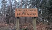 Trail Walking Theux - st roch . wayai . ru chawion . chêne de la vierge . chêne de polleur . hoegne .  sasserotte . château de franchimont  - Photo 19