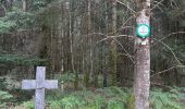 Trail Walking Domfaing - Les hauts de Domfaing - Photo 2