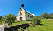 Excursión A pie Zlaté Hory - Údolská hornická NS - Photo 10