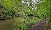 Tocht Stappen Neupré - Autour de Houte-Si-Plou - Photo 3