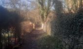 Trail Walking Chaudfontaine - petit tour dans le bois d Embourg - Photo 9
