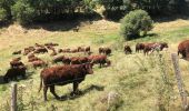 Randonnée Marche Peyrusse - Le Puech Peyrusse  - Photo 4