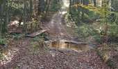 Trail Horseback riding Viroinval - Oignies- Nobertin- La folie-Oignies - Photo 11