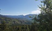 Randonnée Marche Castellane - Les cadières de Brandis - Photo 1