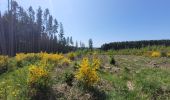 Tocht Stappen Houffalize - rando wibrin 5-06-2023 - Photo 15