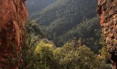 Tour Wandern Saint-Raphaël - Les grues et le Mont St Martin depuis le col Notre Dame - Photo 15