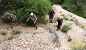 Randonnée Marche Ollioules - Les Grottes de Destel - Photo 5