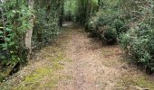 Tour Wandern Chanteloup - Autour de Chanteloup - Photo 1