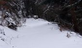 Trail Walking Saint-Amarin - 2020 02 12 Geishouse Hoehe_Chalet Edelweiss  - Photo 3
